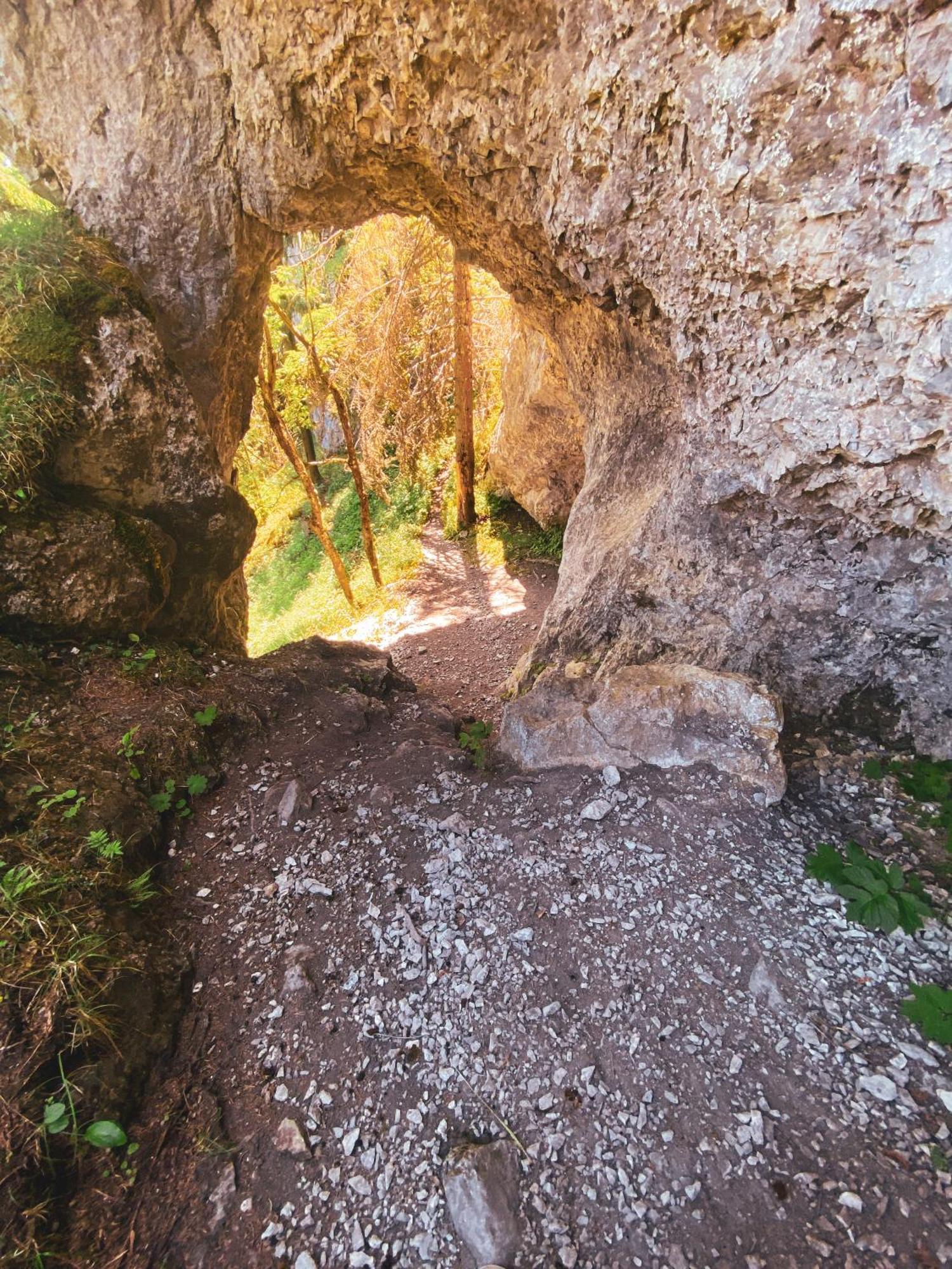 Penzion Limba Demanovska Dolina Εξωτερικό φωτογραφία